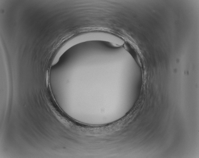 X0000081610013200702121626