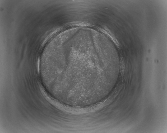 X0000081610014200702121626