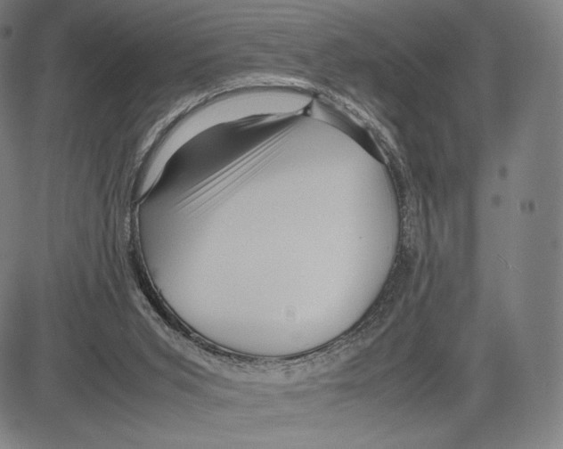 X0000081610015200702121626