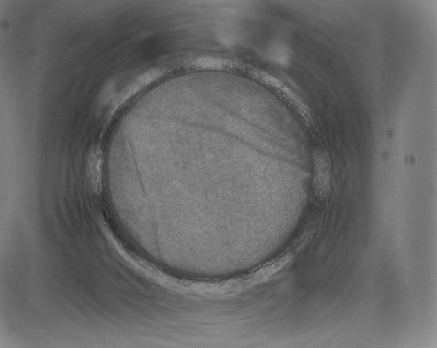 X0000081610016200702121626