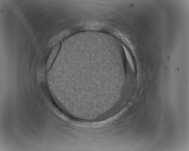 X0000081610017200702121626