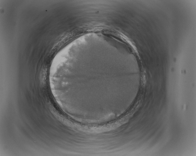 X0000081610018200702121626