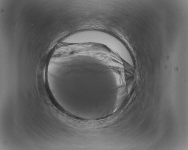 X0000081610019200702121626