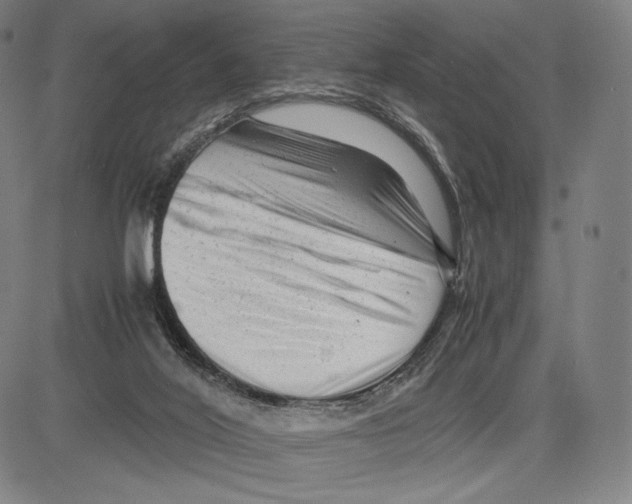 X0000081610020200702121626