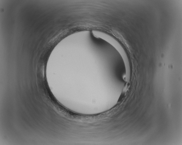 X0000081610021200702121626