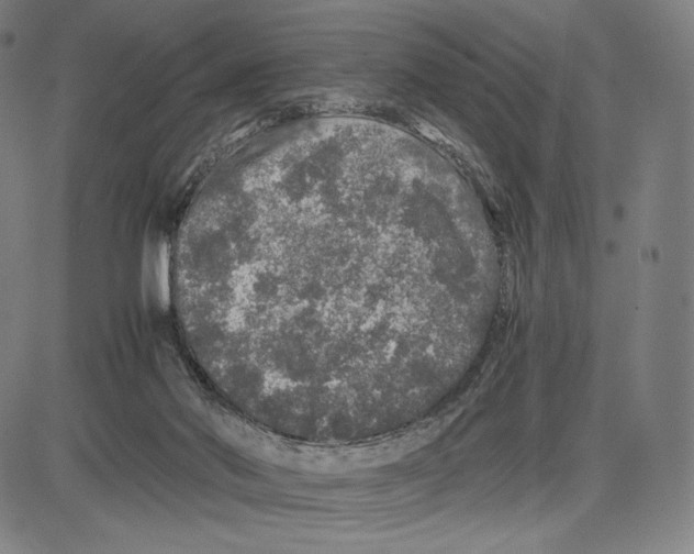 X0000081610022200702121626