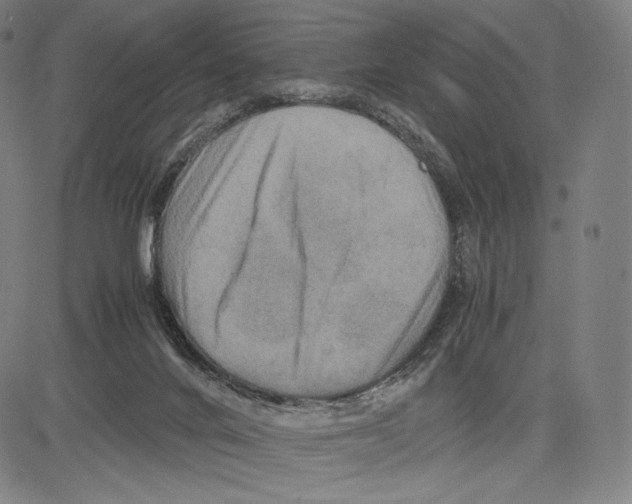 X0000081610024200702121626