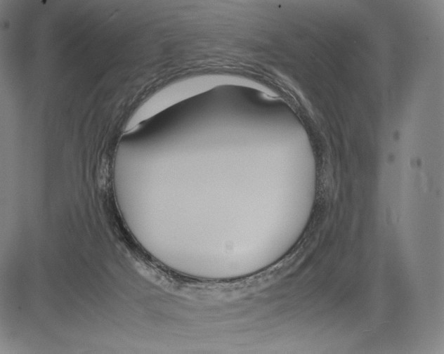 X0000081610025200702121626