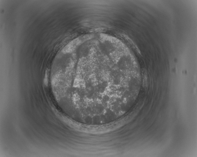 X0000081610026200702121626