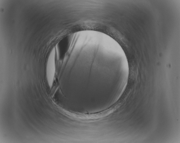 X0000081610027200702121626