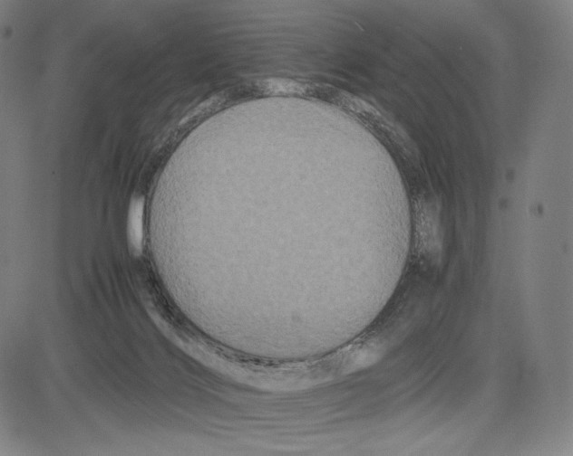 X0000081610028200702121626