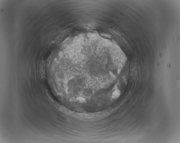 X0000081610030200702121626