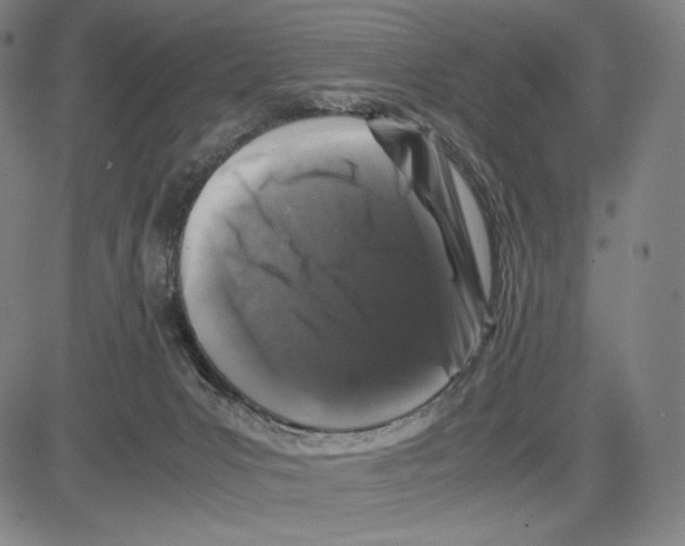 X0000081610031200702121626