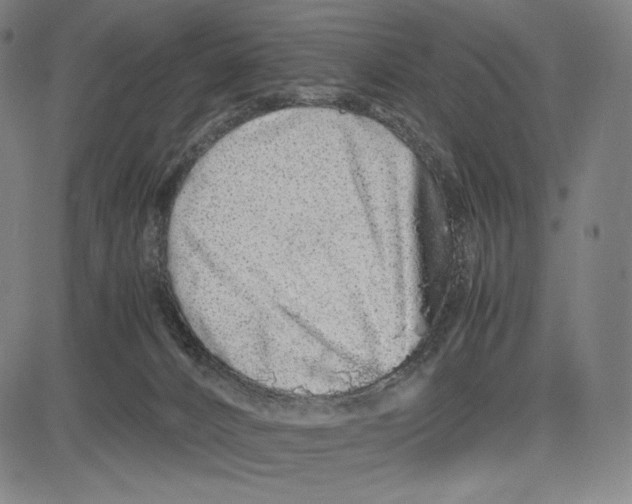 X0000081610032200702121626