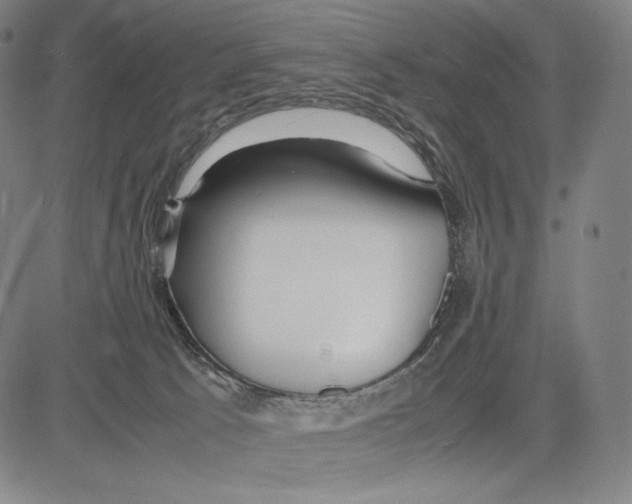 X0000081610033200702121626