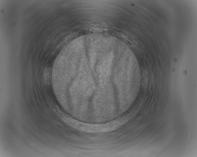 X0000081610034200702121626