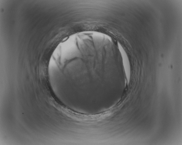 X0000081610035200702121626