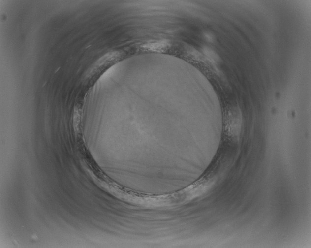 X0000081610036200702121626