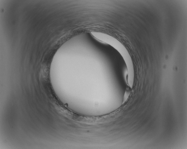 X0000081610037200702121626