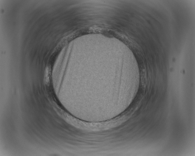 X0000081610038200702121626