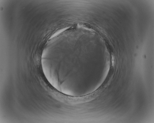 X0000081610039200702121626