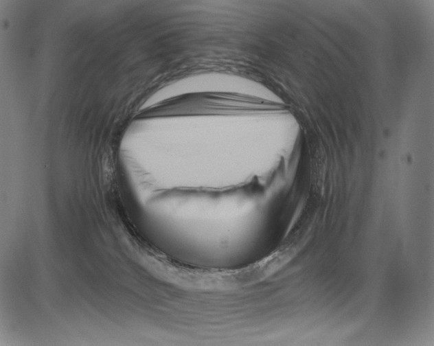 X0000081610040200702121626