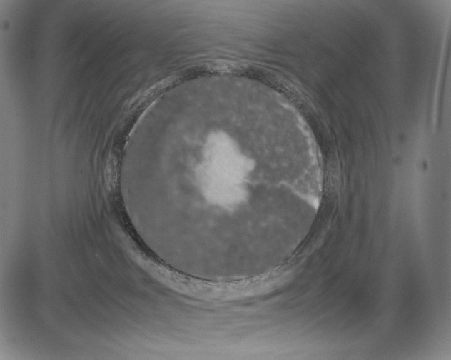 X0000081610043200702121625