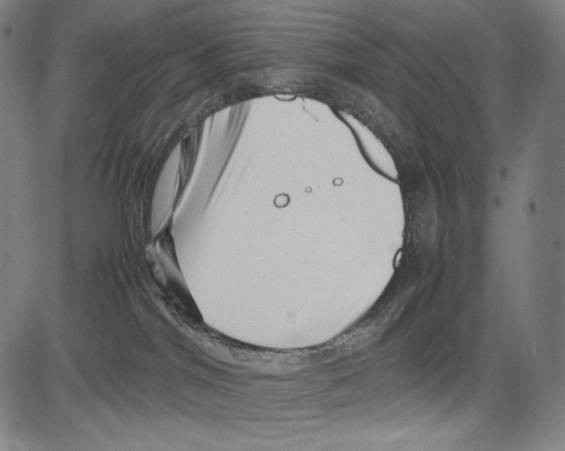 X0000081610044200702121625