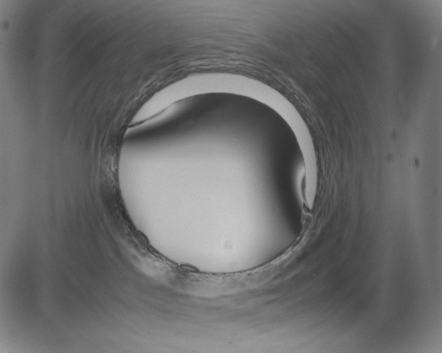 X0000081610045200702121625