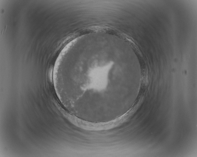 X0000081610047200702121625