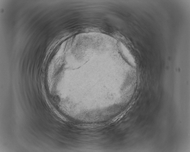 X0000081610049200702121625