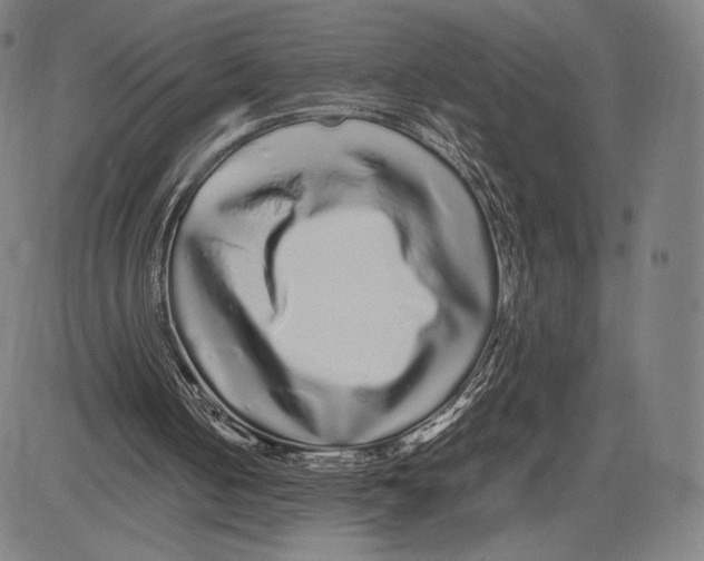 X0000081610050200702121625