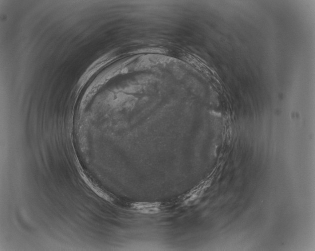 X0000081610051200702121625