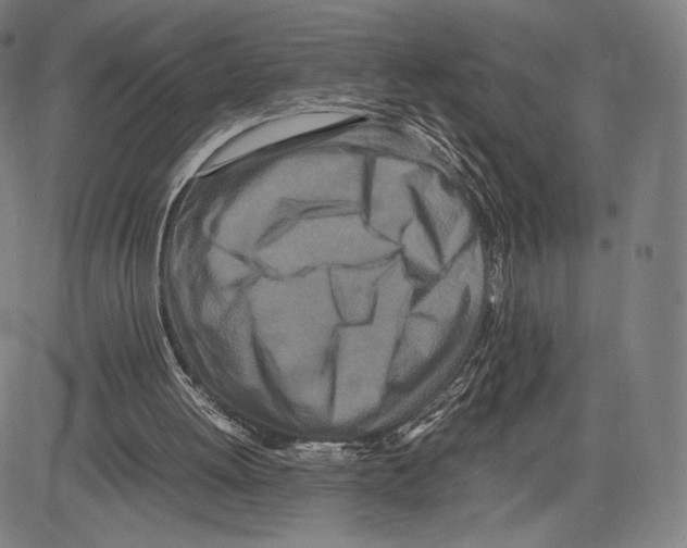 X0000081610052200702121625