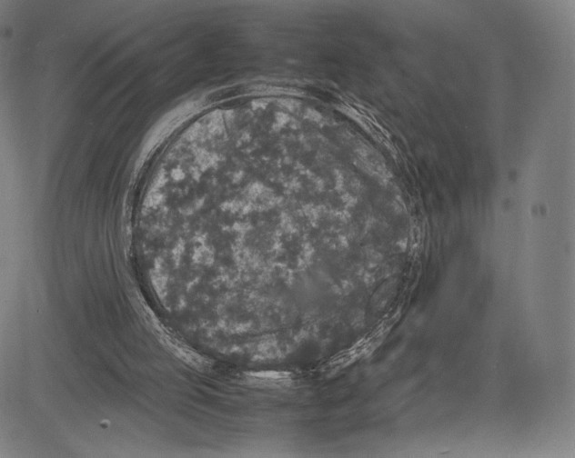 X0000081610053200702121625