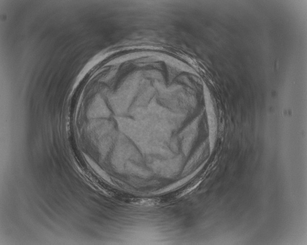 X0000081610056200702121625