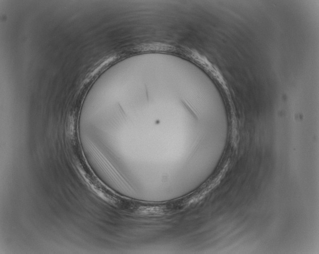 X0000081610057200702121625