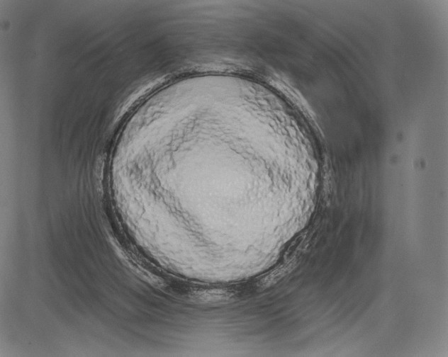 X0000081610058200702121625