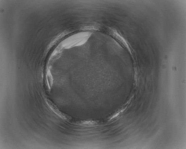 X0000081610059200702121625