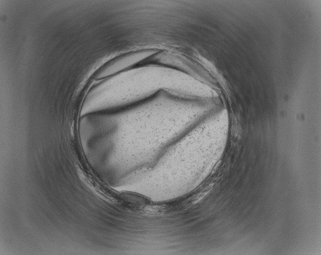 X0000081610060200702121625