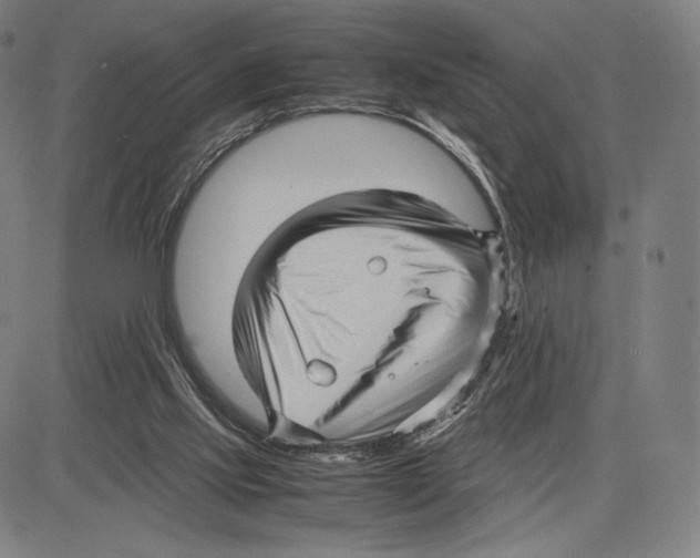 X0000081610061200702121625