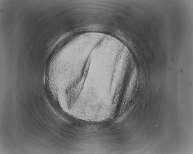 X0000081610062200702121625