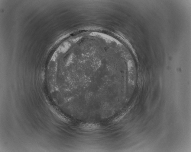 X0000081610063200702121625