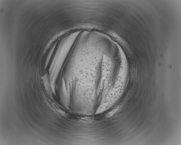 X0000081610064200702121625