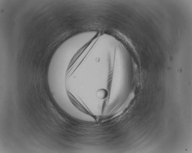 X0000081610065200702121625