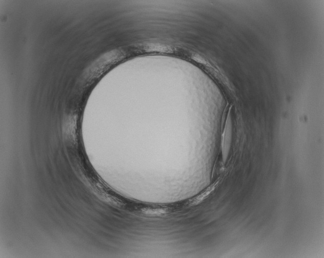 X0000081610066200702121625