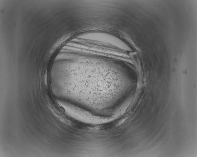 X0000081610068200702121625