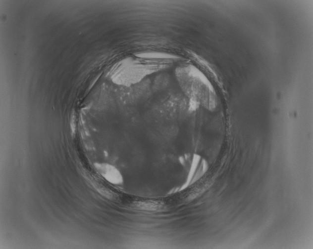 X0000081610069200702121625