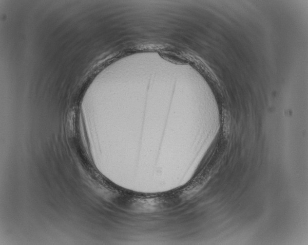 X0000081610071200702121625