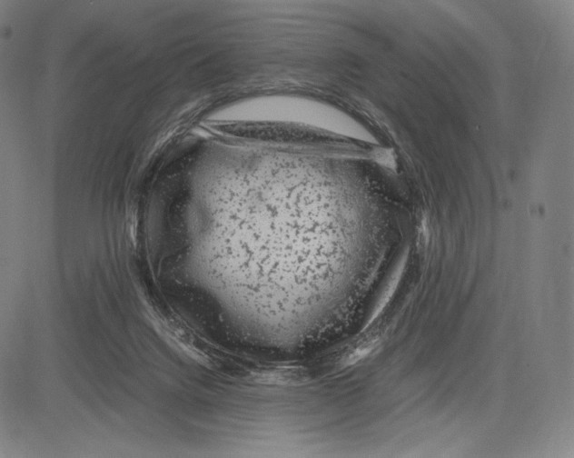 X0000081610072200702121625